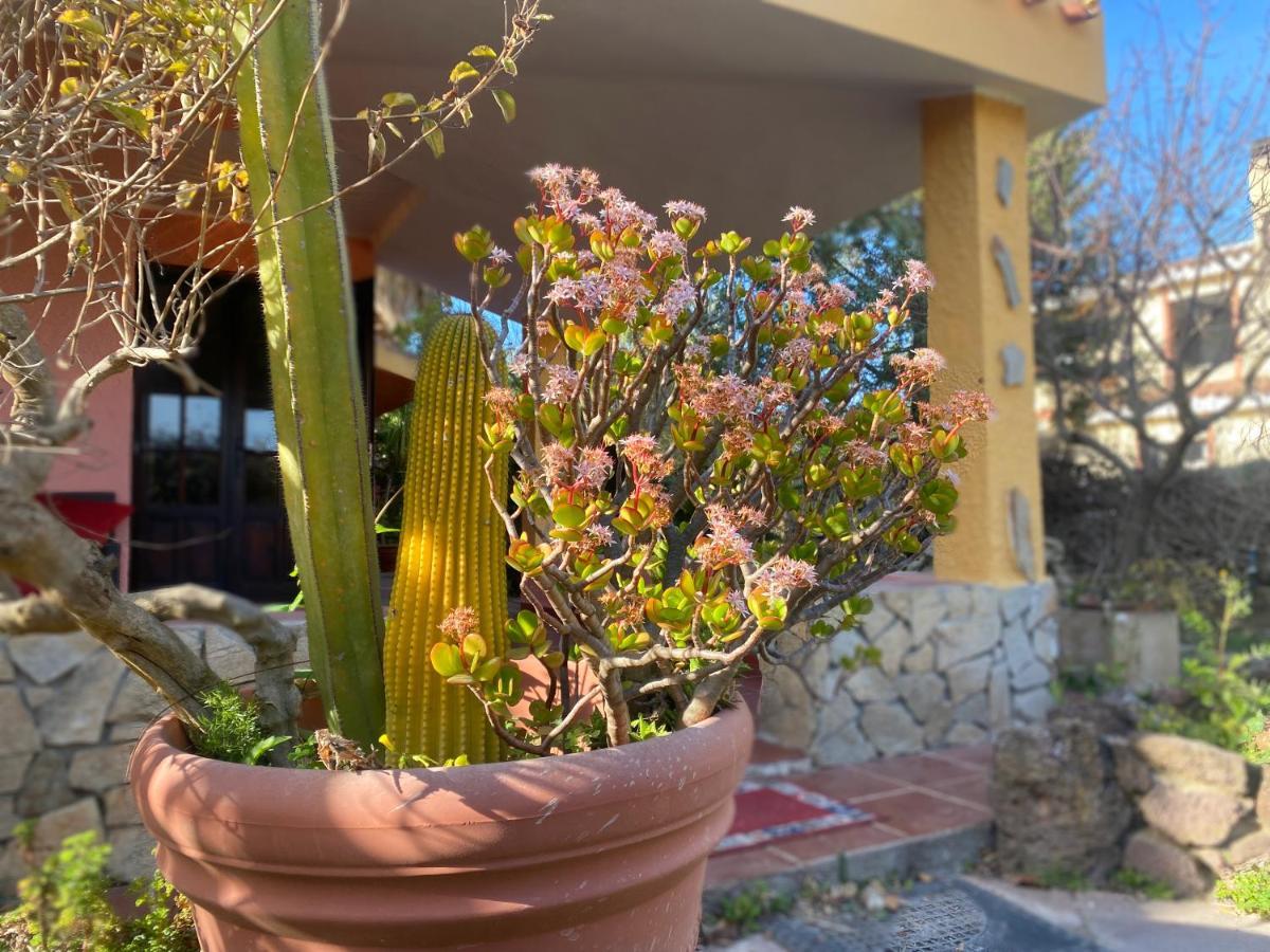 Lovely Home 5 Min Walk To The Beach, 3 Bedrooms Ample Outdoor Relax And Wifi Capitana Exterior photo